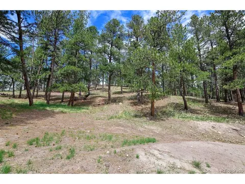 21873 Cougar Ct, Elbert, CO 80106 photo 6