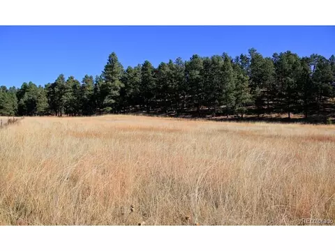 21873 Cougar Ct, Elbert, CO 80106 photo 25
