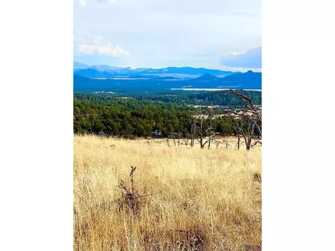 938 25th Trl, Cotopaxi, CO 81223