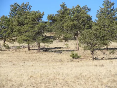5105 Hohokan Trl, Hartsel, CO 80449