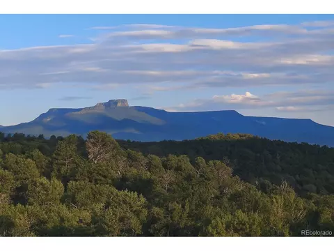 14585 Indian Spring Dr, Trinidad, CO 81082