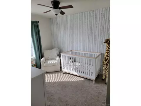 19618 E 50th Dr, Denver, CO 80249 photo 8