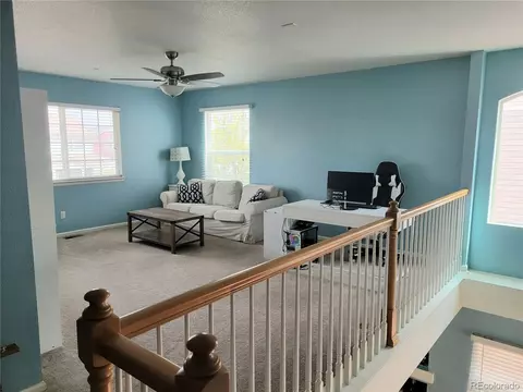 19618 E 50th Dr, Denver, CO 80249 photo 9