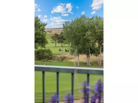 16601 Red Cliff Cir, Morrison, CO 80465 photo 22