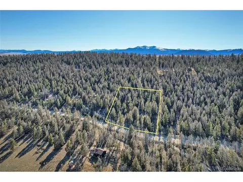 1467 Redhill Rd, Fairplay, CO 80440