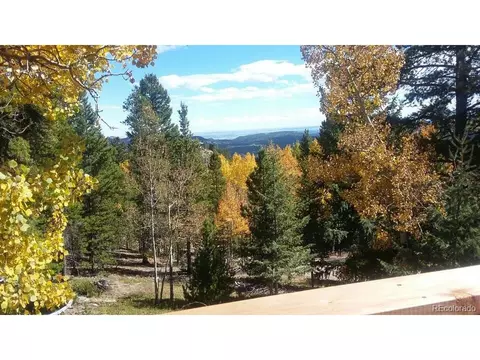 11212 Conifer Mountain Rd, Conifer, CO 80433 photo 34