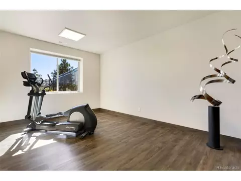 1647 Lyonsdown Ln, Monument, CO 80132 photo 35
