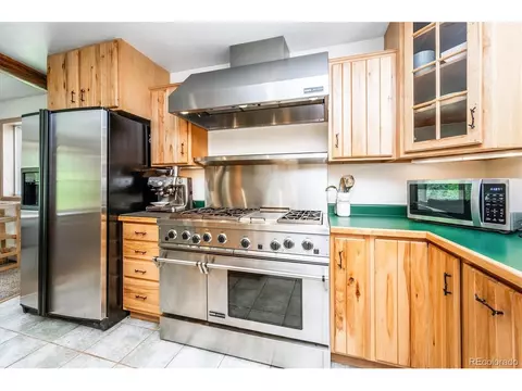 169 Brookside Dr, Bailey, CO 80421 photo 13