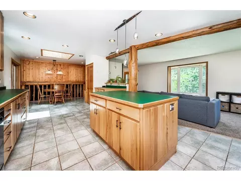 169 Brookside Dr, Bailey, CO 80421 photo 17
