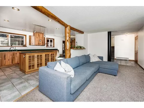 169 Brookside Dr, Bailey, CO 80421 photo 12