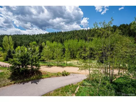 169 Brookside Dr, Bailey, CO 80421 photo 7