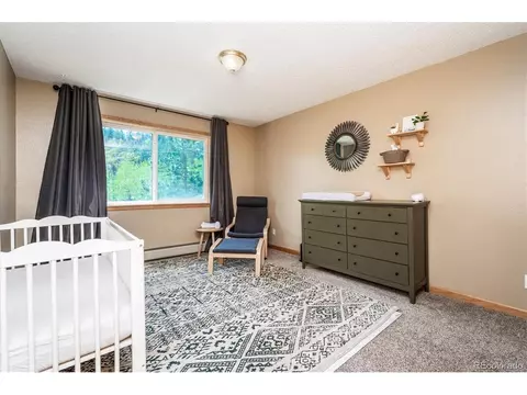 169 Brookside Dr, Bailey, CO 80421 photo 29