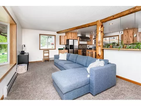 169 Brookside Dr, Bailey, CO 80421 photo 11
