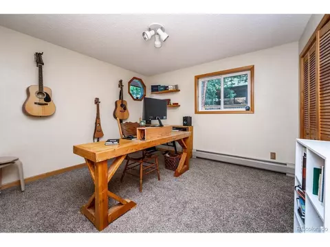 169 Brookside Dr, Bailey, CO 80421 photo 27
