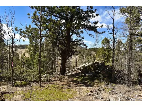 289 Timberline Dr, Guffey, CO 80820