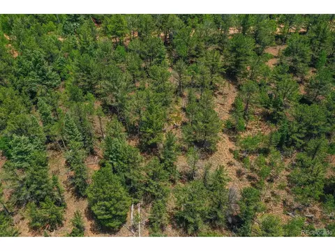 677 Timber Ridge Rd, Divide, CO 80814 photo 16