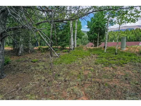 677 Timber Ridge Rd, Divide, CO 80814 photo 21