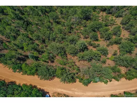 677 Timber Ridge Rd, Divide, CO 80814 photo 10