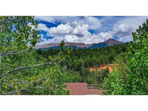 677 Timber Ridge Rd, Divide, CO 80814 photo 22