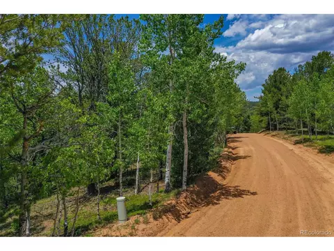 677 Timber Ridge Rd, Divide, CO 80814 photo 13