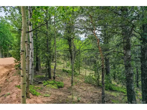 677 Timber Ridge Rd, Divide, CO 80814 photo 27
