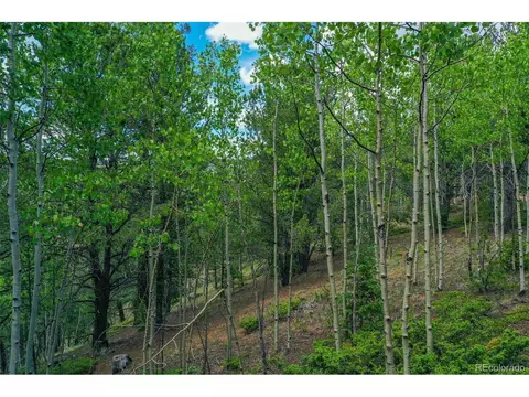 677 Timber Ridge Rd, Divide, CO 80814 photo 19