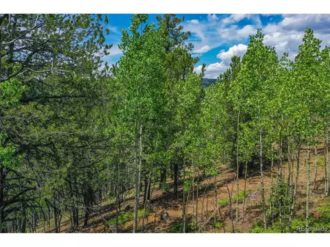 677 Timber Ridge Rd, Divide, CO 80814 photo 15