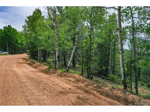 677 Timber Ridge Rd, Divide, CO 80814 photo 28