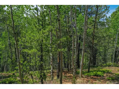 677 Timber Ridge Rd, Divide, CO 80814 photo 14
