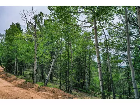 677 Timber Ridge Rd, Divide, CO 80814 photo 29