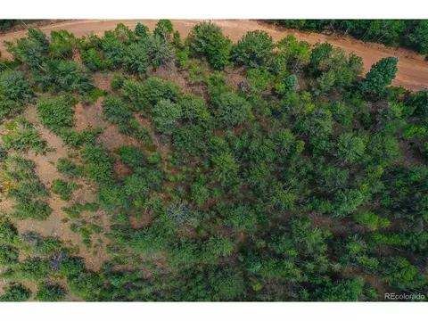 677 Timber Ridge Rd, Divide, CO 80814 photo 17
