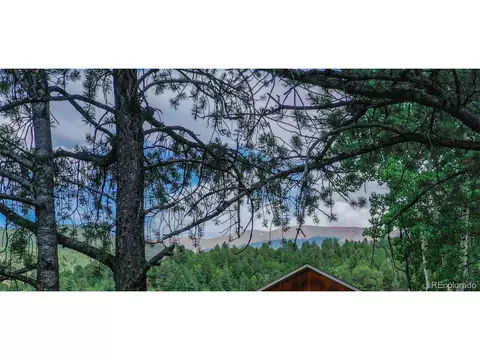 677 Timber Ridge Rd, Divide, CO 80814 photo 18