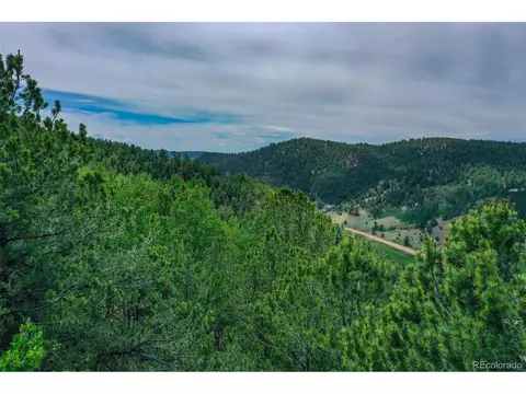 677 Timber Ridge Rd, Divide, CO 80814 photo 20