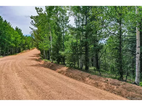 677 Timber Ridge Rd, Divide, CO 80814