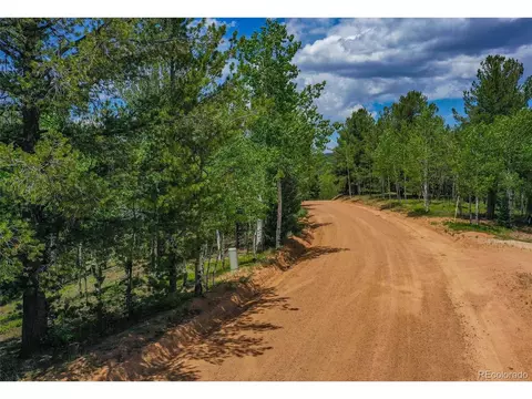 677 Timber Ridge Rd, Divide, CO 80814 photo 12