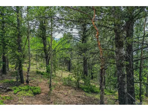 677 Timber Ridge Rd, Divide, CO 80814 photo 26