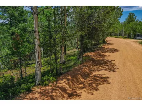 677 Timber Ridge Rd, Divide, CO 80814 photo 11