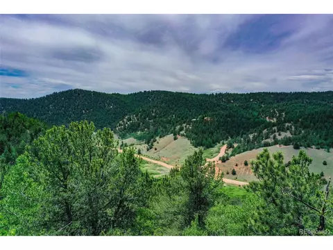 677 Timber Ridge Rd, Divide, CO 80814 photo 23