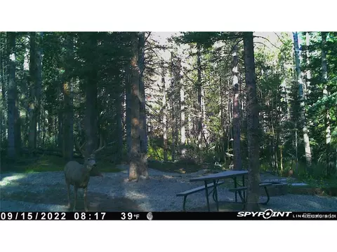 3388 Elicker Dr, Fort Garland, CO 81133