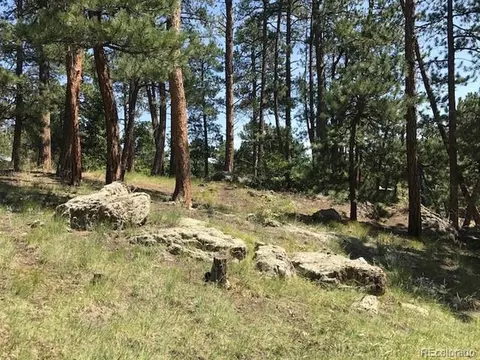 8703 S Ault Ln, Morrison, CO 80465 photo 9