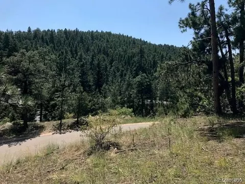 8703 S Ault Ln, Morrison, CO 80465 photo 10