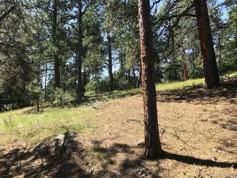 8703 S Ault Ln, Morrison, CO 80465 photo 5