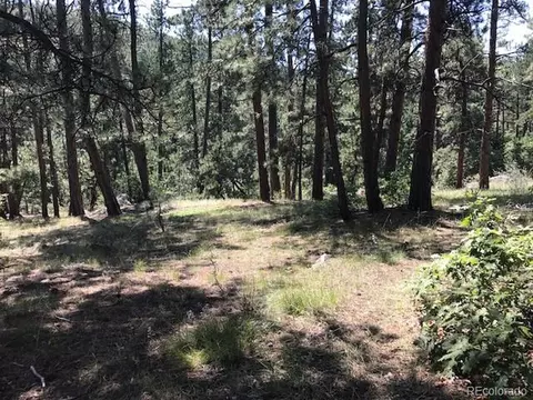 8703 S Ault Ln, Morrison, CO 80465 photo 7