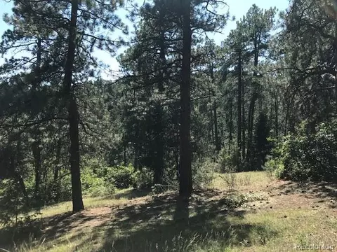8703 S Ault Ln, Morrison, CO 80465 photo 6