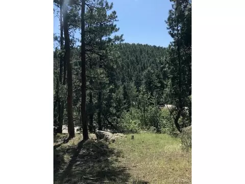 8703 S Ault Ln, Morrison, CO 80465 photo 1