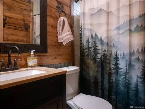 Bath - 54 Oak Dr, Cotopaxi, CO 81223 photo 3 of 6