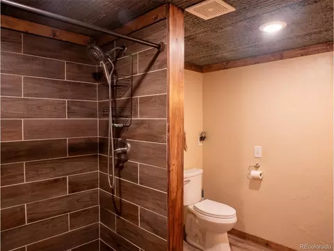 Bath - 54 Oak Dr, Cotopaxi, CO 81223 photo 4 of 6
