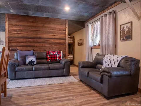 Living - 54 Oak Dr, Cotopaxi, CO 81223 photo 4 of 4
