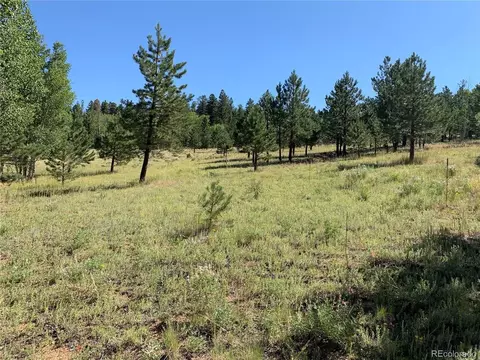 Other - 54 Oak Dr, Cotopaxi, CO 81223 photo 9 of 11
