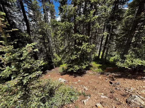 0 Forbes Rd, Fort Garland, CO 81133